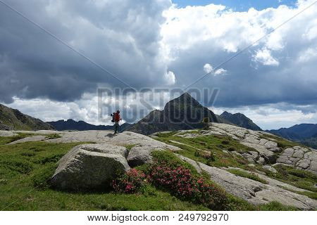 Lagorai Mountain Range In The Eastern Alps In Trentino, Italy