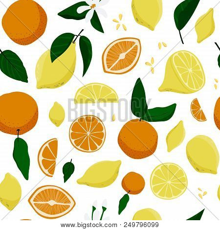 Seamless Lemons And Oranges Hand Drawn Pattern. Stock Vector