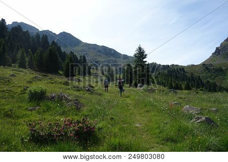 Lagorai Mountain Range In The Eastern Alps In Trentino, Italy