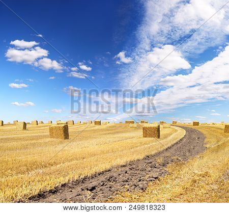 Big Square Bales Of Straw In The Meadow.