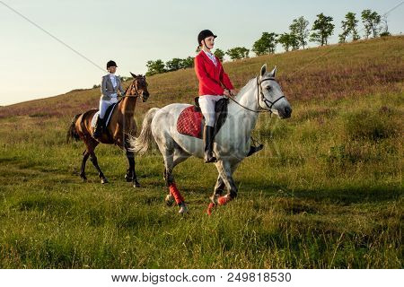 Horseback Riders. Two Attractive Women Ride Horses On A Green Meadow. Horse Riding. Horse Racing. Ri