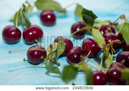 Close Up Of Pile Of Ripe Cherries With Stalks And Leaves On Blue Wooden Background