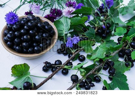 Berries Of A Tasty, Large Black Currant On A Table In A Small Plate