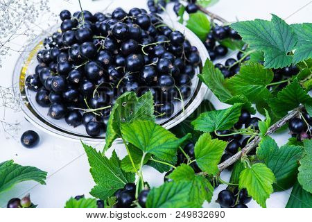 Berries Of A Tasty, Large Black Currant On A Table In A Small Plate