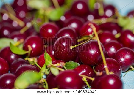 Close Up Of Red Fresh Cherries With Water Drops