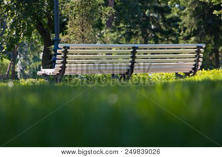 Massive Bench In The City Park On A Summer Day