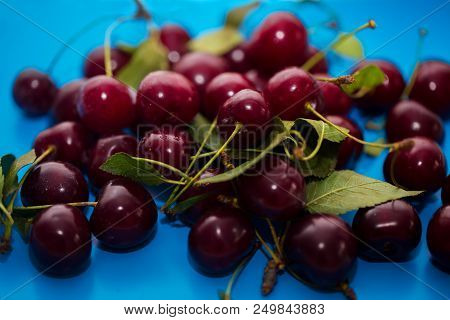 Close-up Of A Group Of Ripe Fresh Cherries On A Blue Background