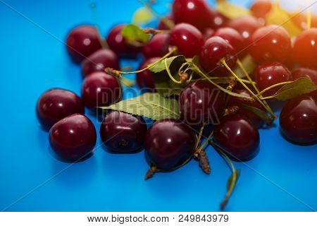 Close-up Of A Group Of Cherries On A Blue Background