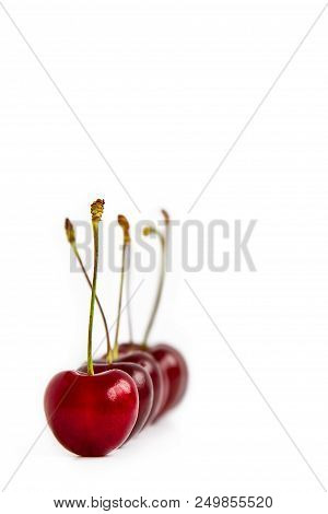 Ripe Red Cherries Are Lined Up, One After The Other. One Cherry In Focus On White Background.copy Sp