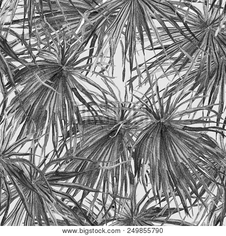 Tropical Pattern. Watercolor Exotic Flowers And Monstera Leaves.  Black White Plants In Seamless Pat