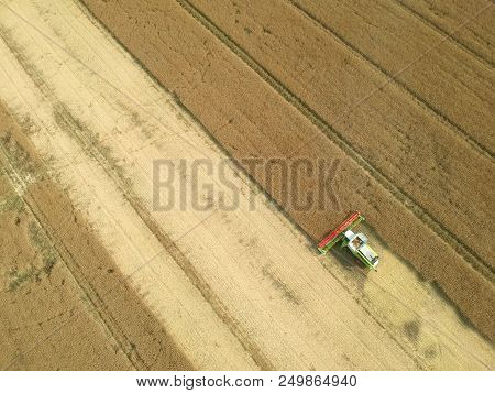Combine Harvester Collecting Grain On Wheat Field, Aerial View Of Harvest.