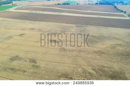 Aerial View On Yellow Wheat Field And Green Forest With Ground Road.