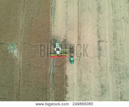 Combine Harvester Transferring Grain To Truck Trailer, Aerial View Of Harvest.