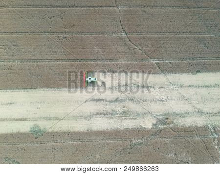 Combine Harvester Collecting Grain On Wheat Field, Aerial View Of Harvest.