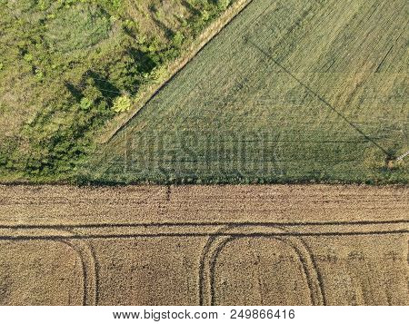Divided Fields Of Yellow Grain And Green Meadow, Aerial View.