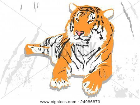 Æglæggende tiger
