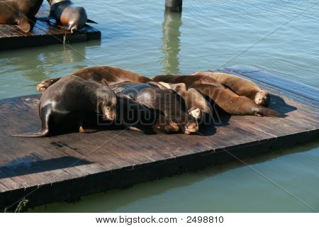 Уплотнения