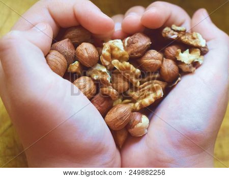 Almonds And Nuts For A Healthy Life And Body