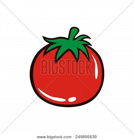 Red Tomato Vector Illustration On White Background