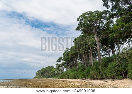 Stunning View Of Neil Island With Trees And Bushes In The Foreground. Neil Island Is A Beautiful Sma