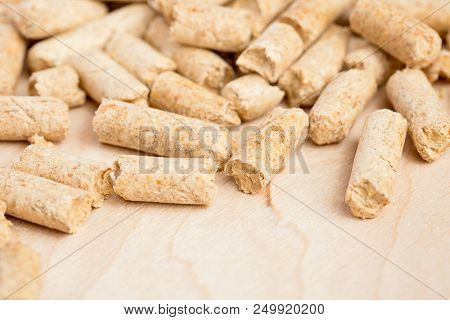 Toilet Filler For Cats On A Wooden Background Top View.