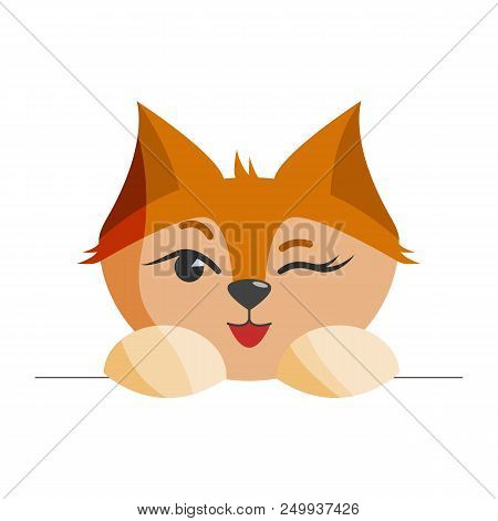 Red Fox Head Looking At You And Giving A Foxy Wink With Pretty Eyes And Lovely White Claws Eps 8