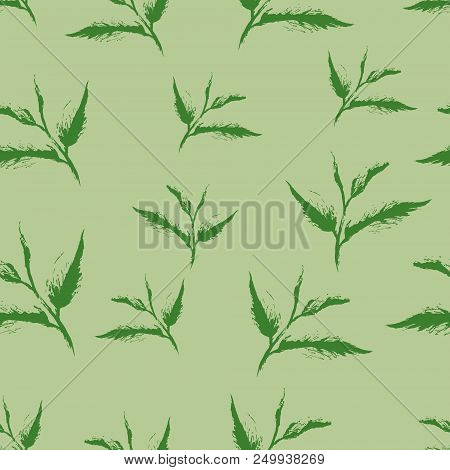 Seamless Pattern Of Hand Drawn Green Tea Leaves. Vector Illustration.