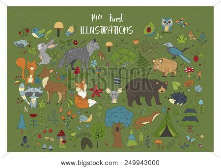 Big Set Of Hand Drawn Forest Illustraitions With Color Cartoon Animals On A Green Background.