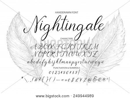 Nightingale. Handdrawn Calligraphic Vector Font. Modern Gentle Calligraphy.