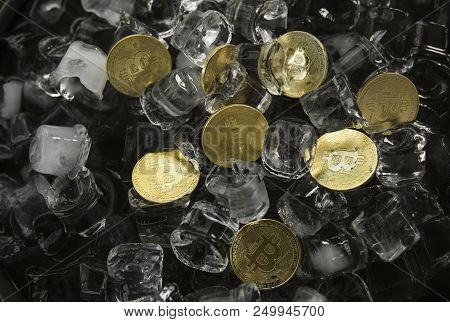 Golded Bitcoins On Ice Background. The Concept Of The Exchange In Winter. Freeze. Blockchain Mining.