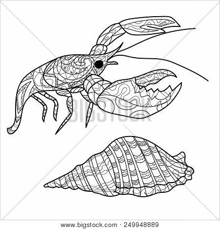 Crayfish, Lobster Pattern, Coloring Book, Page, Vector, Set