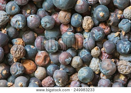 Juniper Or Cade Berries Spice Background Or Texture. The Macro Shot Is Made By Means Of Stacking Tec