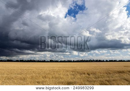The Sky With Storm Clouds Over The Wheatfield. Summer Rural Landscape.