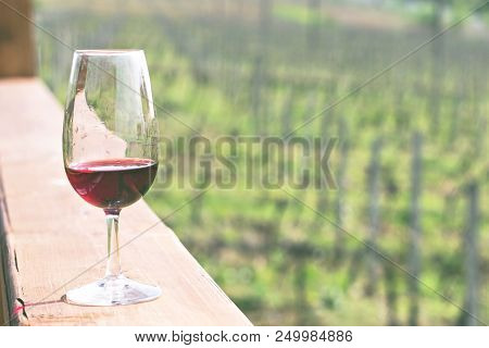 Glasses With Wine. Red, Pink, White Wine In Glasses.