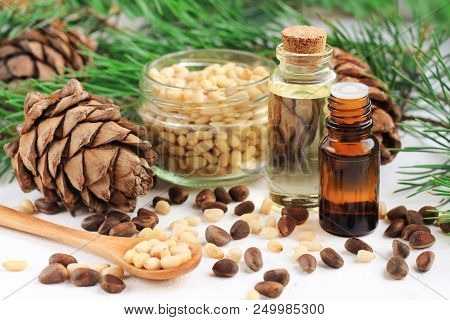 Dropper Bottles With Aromatic Pine Nut Oil With Cedar Cones, Fresh Needled Twigs, Seeds. Healthy Lif