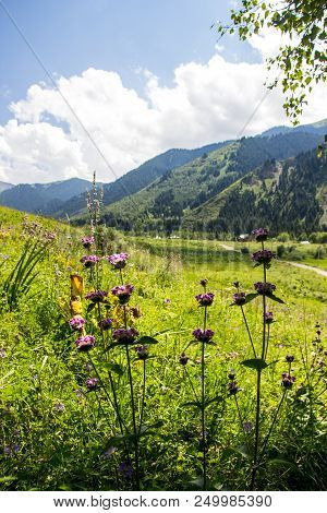 Mountains Landscape Of The Kaskelen Gorge In The Tien-shan Mountains, Almaty, Kazakhstan