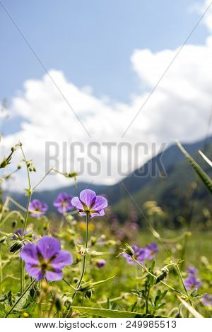 Mountains Landscape Of The Kaskelen Gorge In The Tien-shan Mountains, Almaty, Kazakhstan