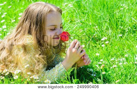 Child Enjoy Fragrance Of Tulip While Lying At Meadow. Girl With Long Hair Lying On Grassplot, Grass 