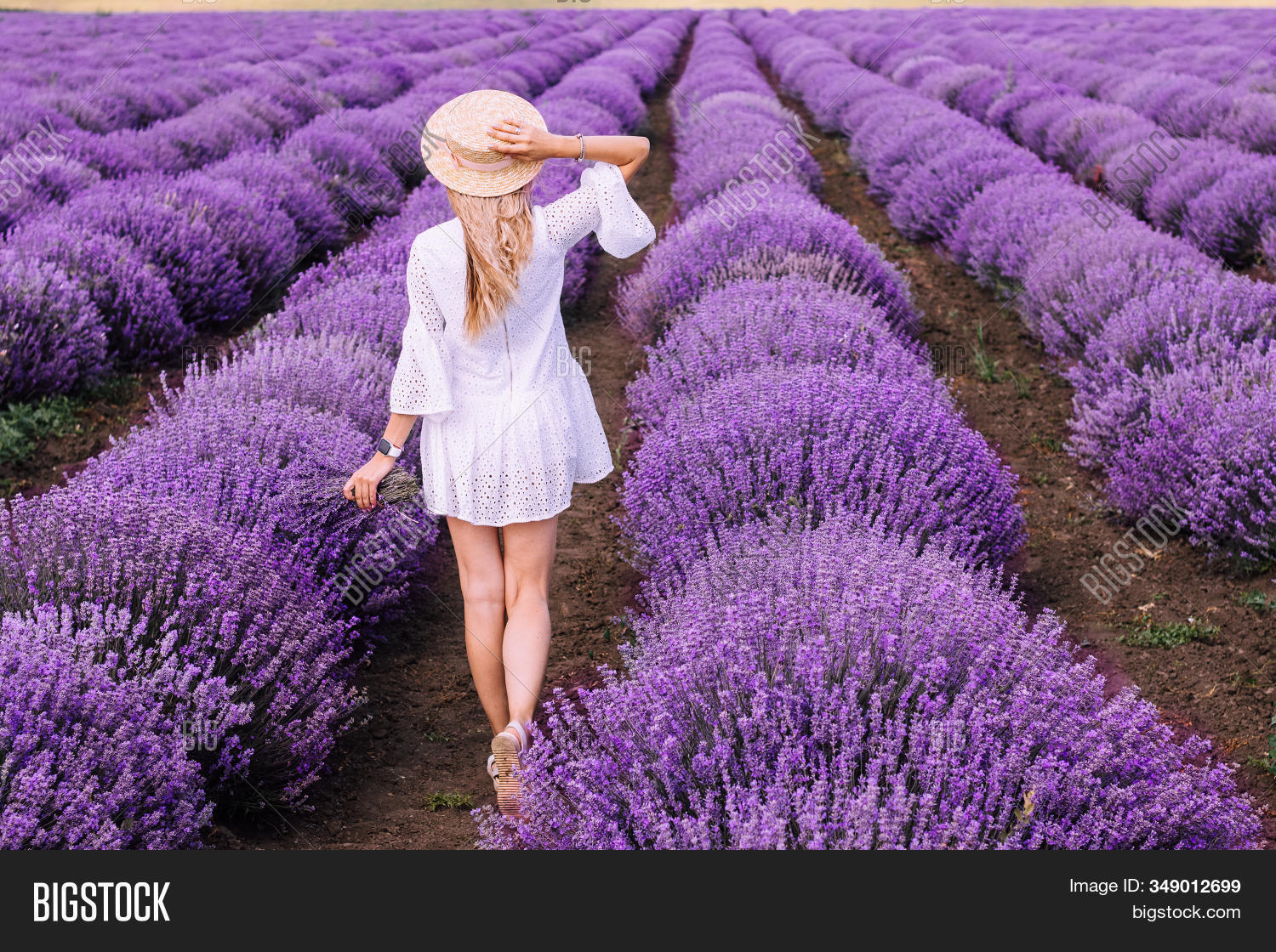 Woman On Lavender Image & Photo (Free Trial) | Bigstock