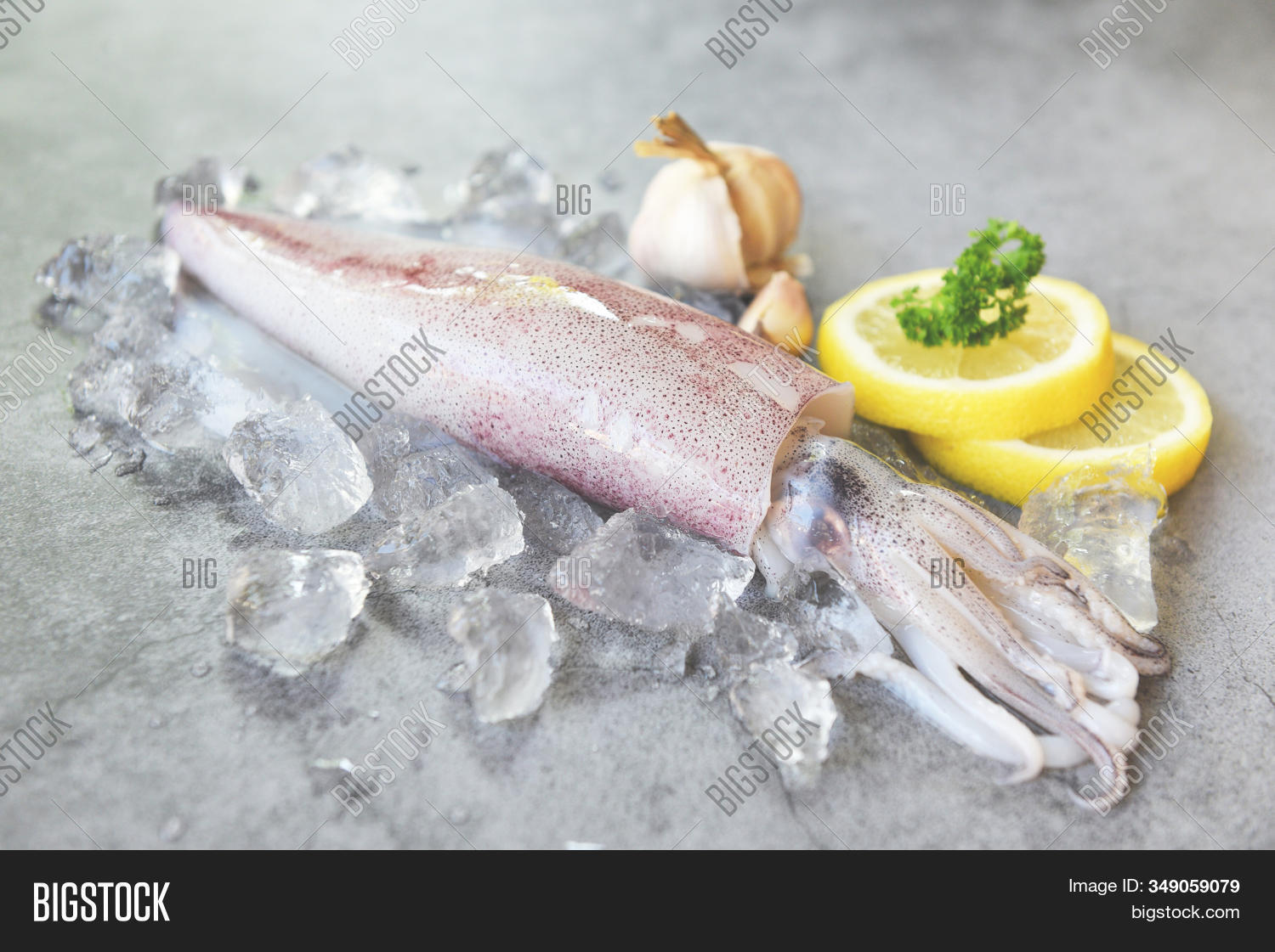 Raw Squid On Ice Salad Image & Photo (Free Trial) Bigstock