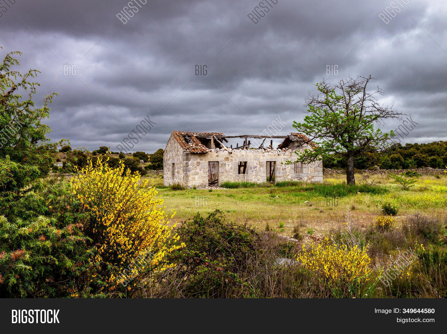 Rumbling House Camino Image & Photo (Free Trial) | Bigstock