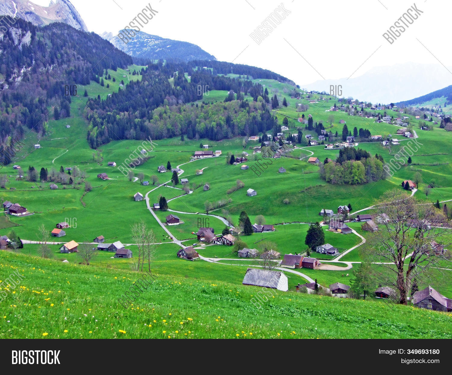 Cattle Farms Rural Image & Photo (Free Trial) | Bigstock