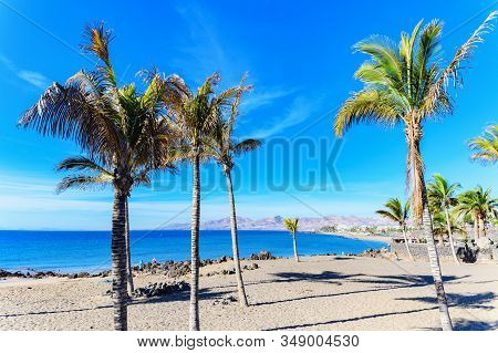 Puerto Del Carmen Beach In Lanzarote, Canary Islands, Spain. Blue Sea, Palm Trees, Selective Focus