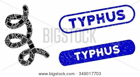 Collage Bacillus And Distressed Stamp Seals With Typhus Phrase. Mosaic Vector Bacillus Is Created Wi