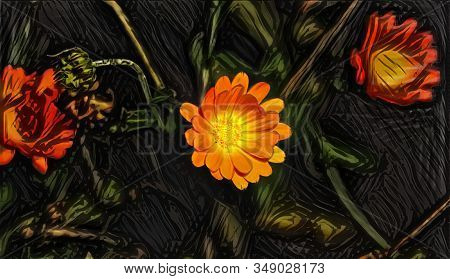Yellow Flower On Dark In The Garden