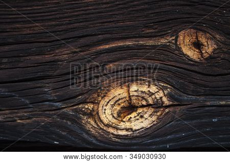 Bright Natural Wood Knot Detail In Brown Texture. Abstract Wooden Background. Beautiful Ancient Roug