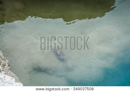 Crab Living In River Aoos River Near Permet In Albania