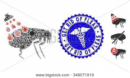 Contagious Collage Get Rid Of Fleas Icon And Rounded Distressed Stamp Seal With Get Rid Of Fleas Cap