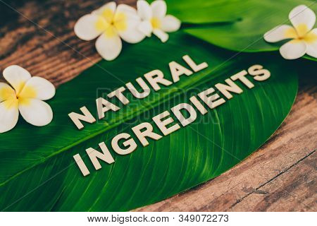 Beauty Industry And Ethical Vegan Products, Natural Ingredients Message On Tropical Banana Leaf With