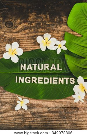 Beauty Industry And Ethical Vegan Products, Natural Ingredients Message On Tropical Banana Leaf With